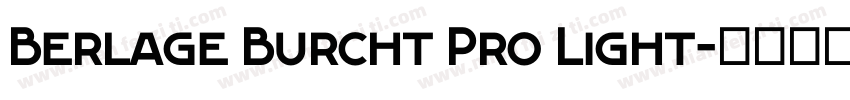 Berlage Burcht Pro Light字体转换